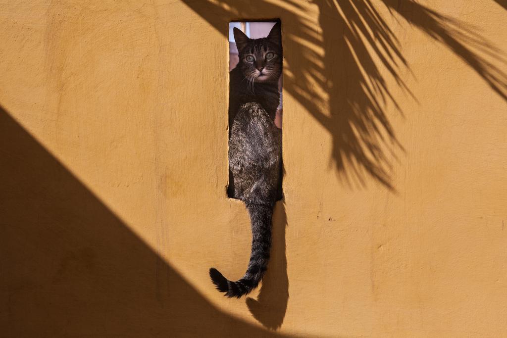 Dar Kleta Hotel Marrakesh Buitenkant foto